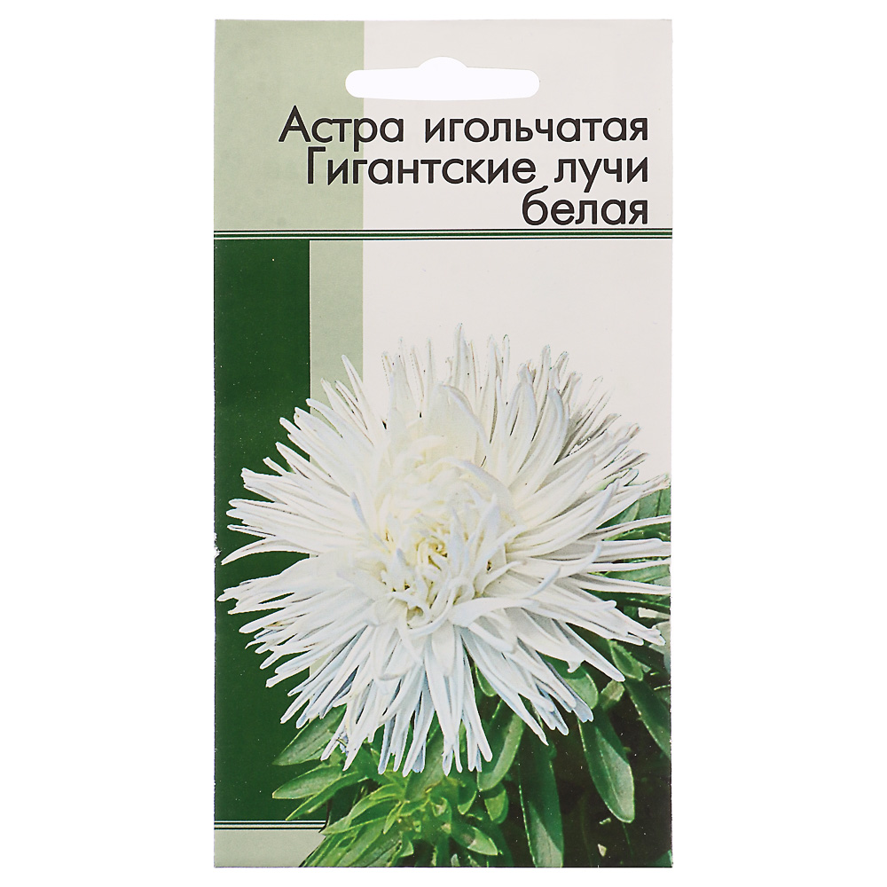 Семена Астра игольчатая Гигантские лучи Белая 0,2 гр, арт.№ 179-218