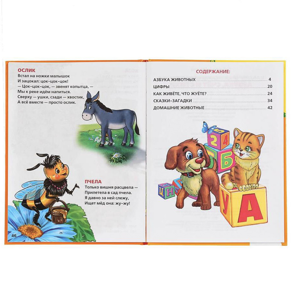 Книга "Азбука/Букварь", 16,5х21,5 см, 48 стр., в ассортименте, арт.№ 857-178