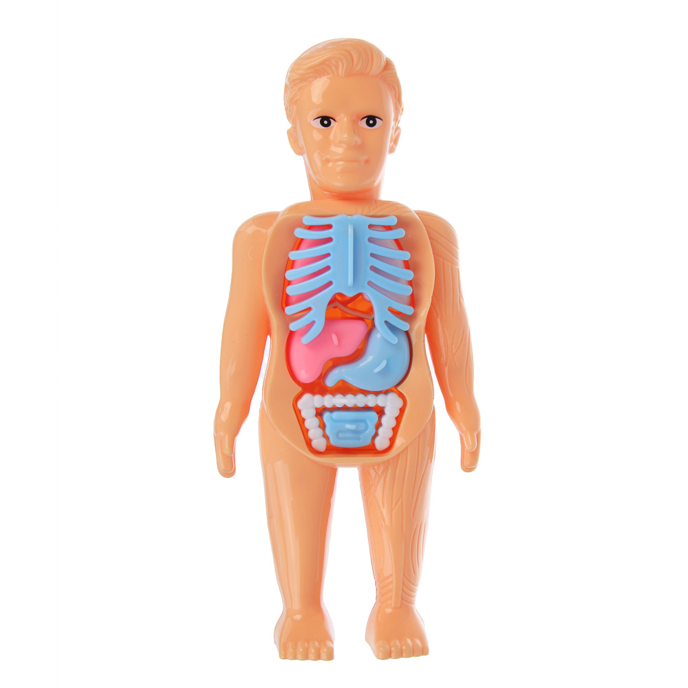 Игровой набор доктора с куклой-манекеном, PP, ABS, тм ИГРОЛЕНД, 3+, арт.№ 294-267