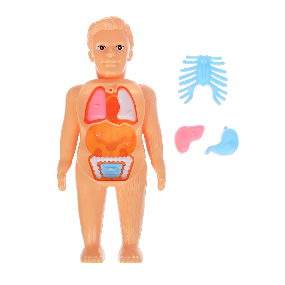 Игровой набор доктора с куклой-манекеном, PP, ABS, тм ИГРОЛЕНД, 3+, арт.№ 294-267