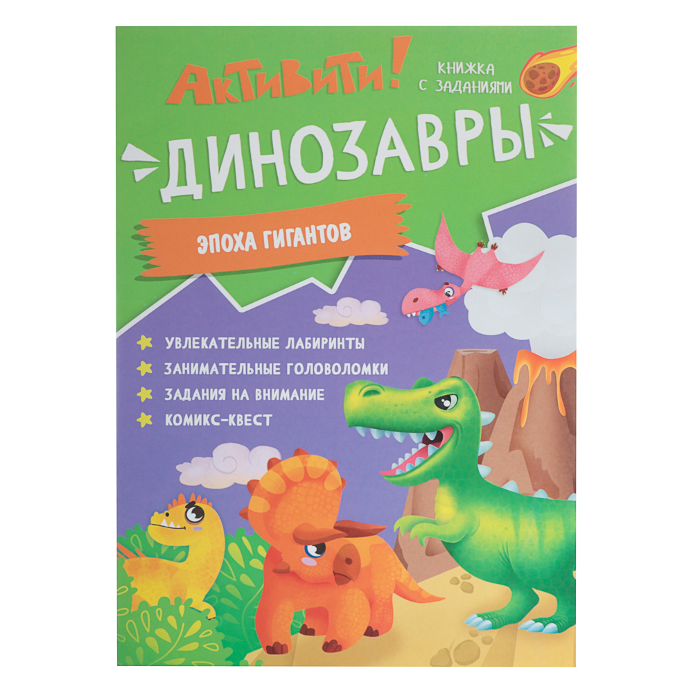 Книжка с заданиями "Активити", 21х29,7 см., 16 стр., 3 дизайна, арт.№ 876-101