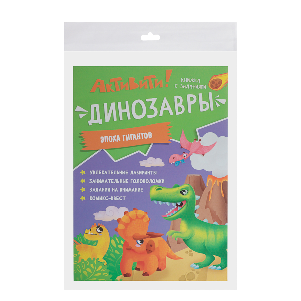 Книжка с заданиями "Активити", 21х29,7 см., 16 стр., 3 дизайна, арт.№ 876-101