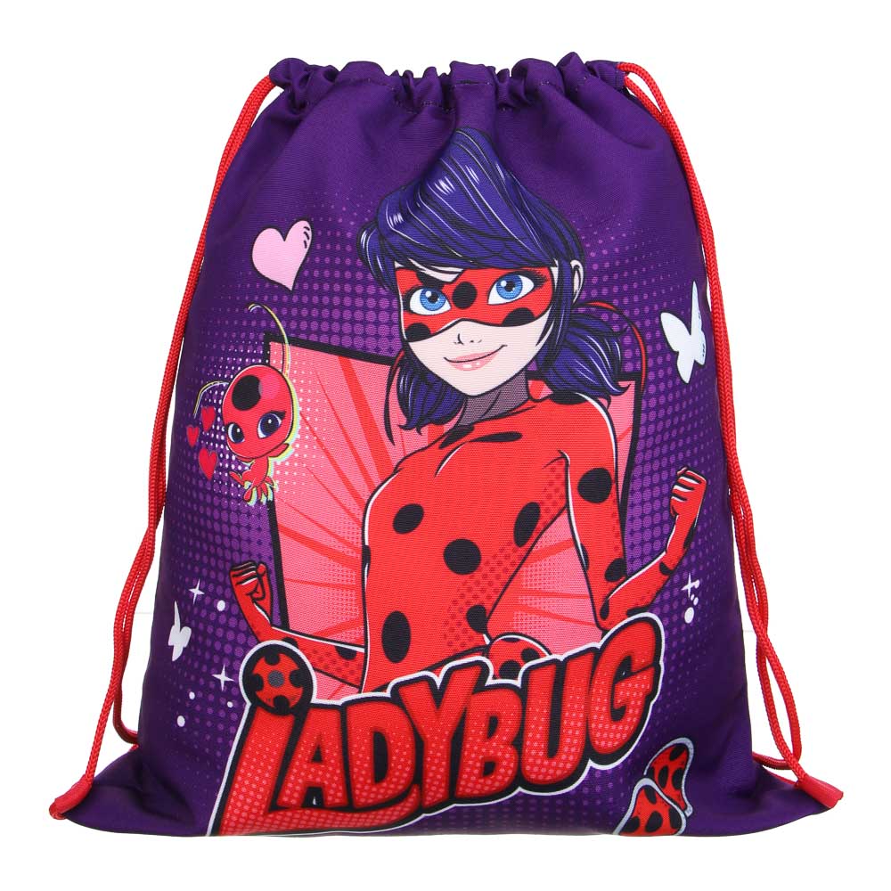 Ледибаг Мешок для обуви ПРЕМИУМ, 47х39см, плотный материал, 2-стор.печать, толстая веревка, "Кор", арт.№ 811-002