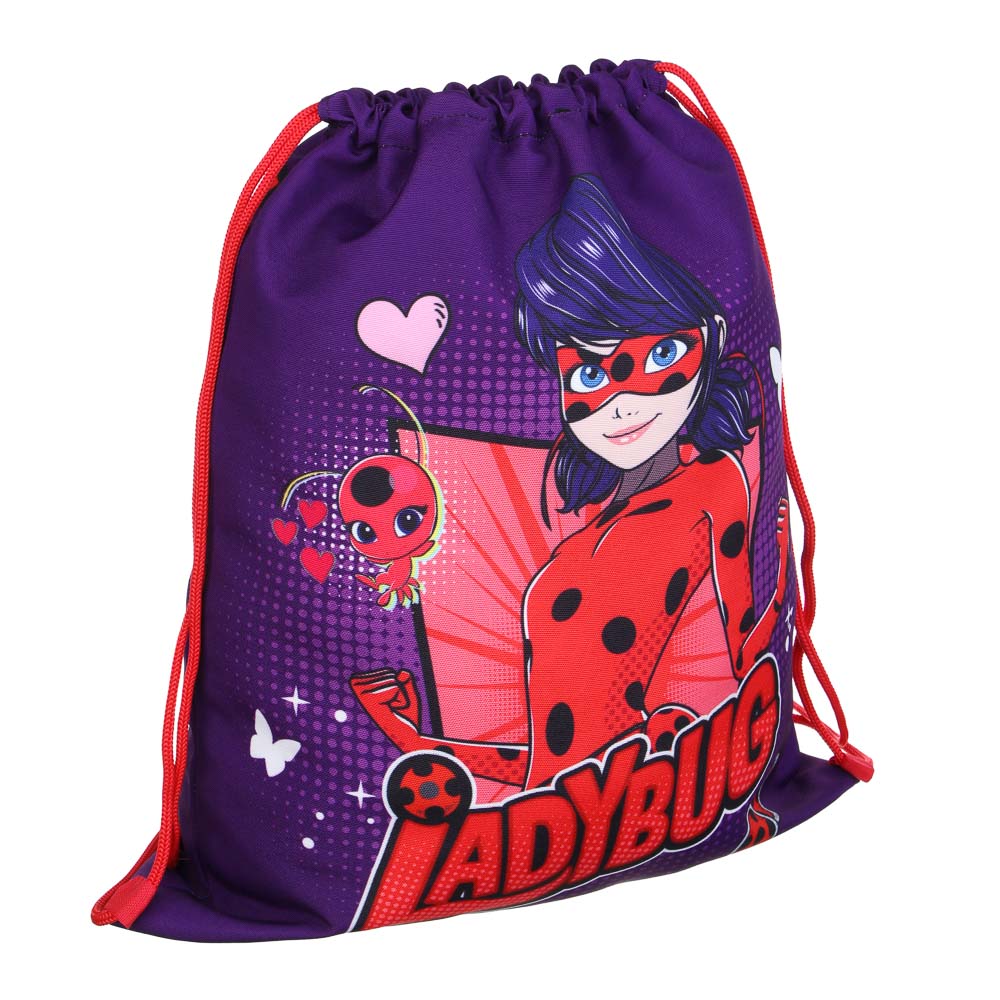 Ледибаг Мешок для обуви ПРЕМИУМ, 47х39см, плотный материал, 2-стор.печать, толстая веревка, "Кор", арт.№ 811-002