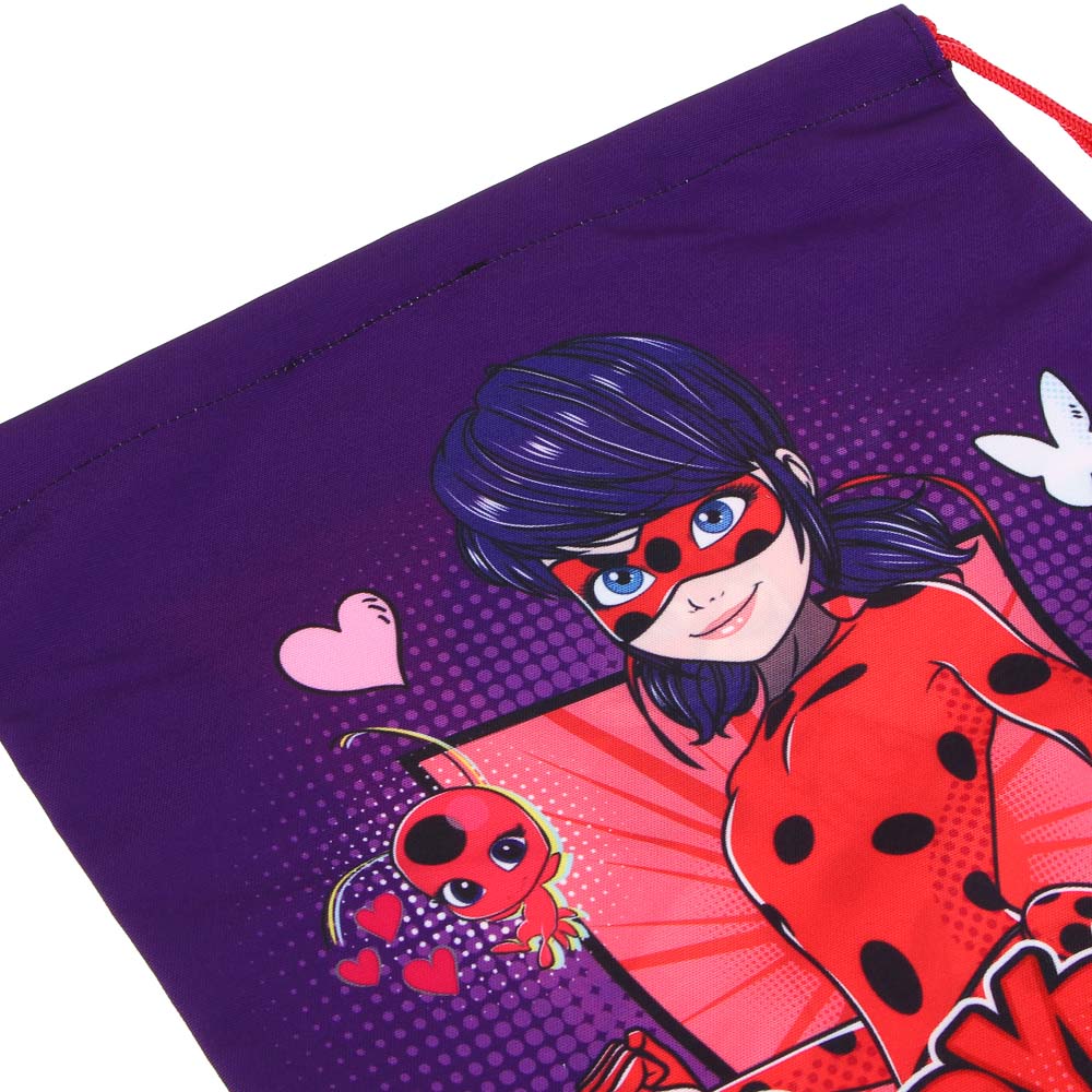 Ледибаг Мешок для обуви ПРЕМИУМ, 47х39см, плотный материал, 2-стор.печать, толстая веревка, "Кор", арт.№ 811-002