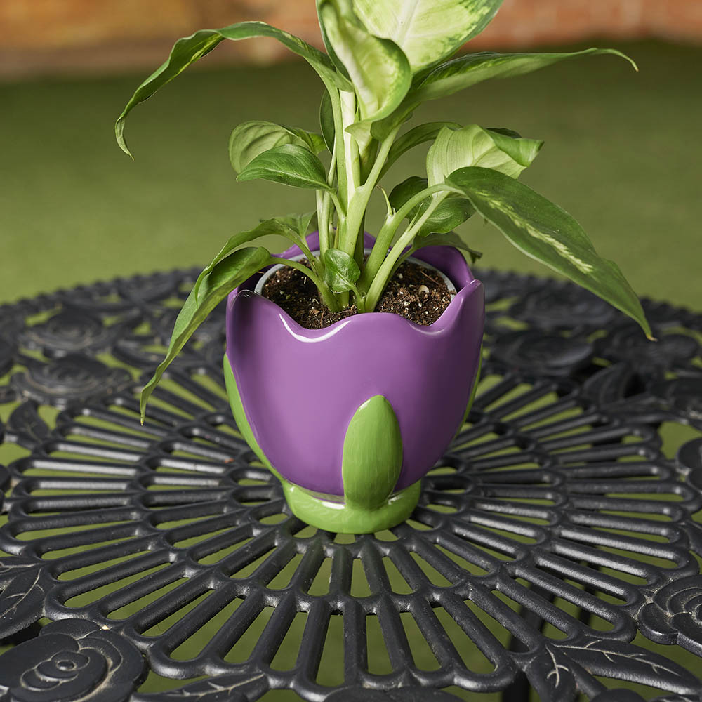 INBLOOM Кашпо Тюльпан 11x11x11.4см, 6 цветов, керамика, арт.№ 164-009