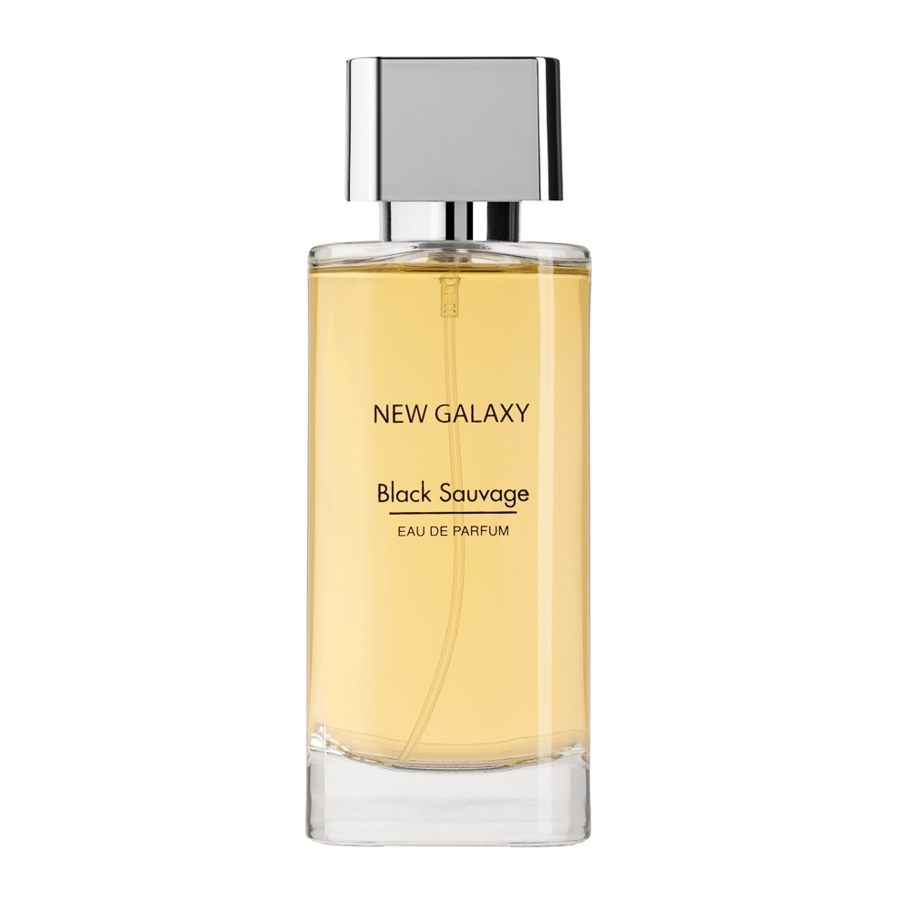 NEW GALAXY Парфюмерная вода мужская Black Sauvage, 100 мл, арт.№ 313-337