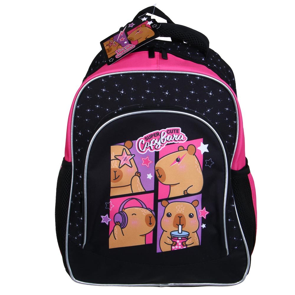 Рюкзак школьный 39х30х22 см Капибара FLOMIK, 1 отд., 1 передний, 2 бок.карм., эрг.спинка, упл.лямки, арт.№ 524-237