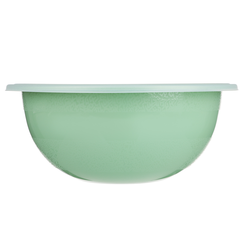 Миска с крышкой Дорос 5л, пластик, 2 цвета, арт.№ 861-590