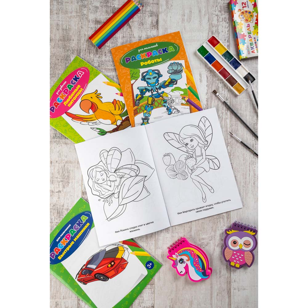 УИД Раскраска "Для девочек и мальчиков", бумага, 19,5х27,5см, 12стр., 2 дизайна, арт.№ 290-267