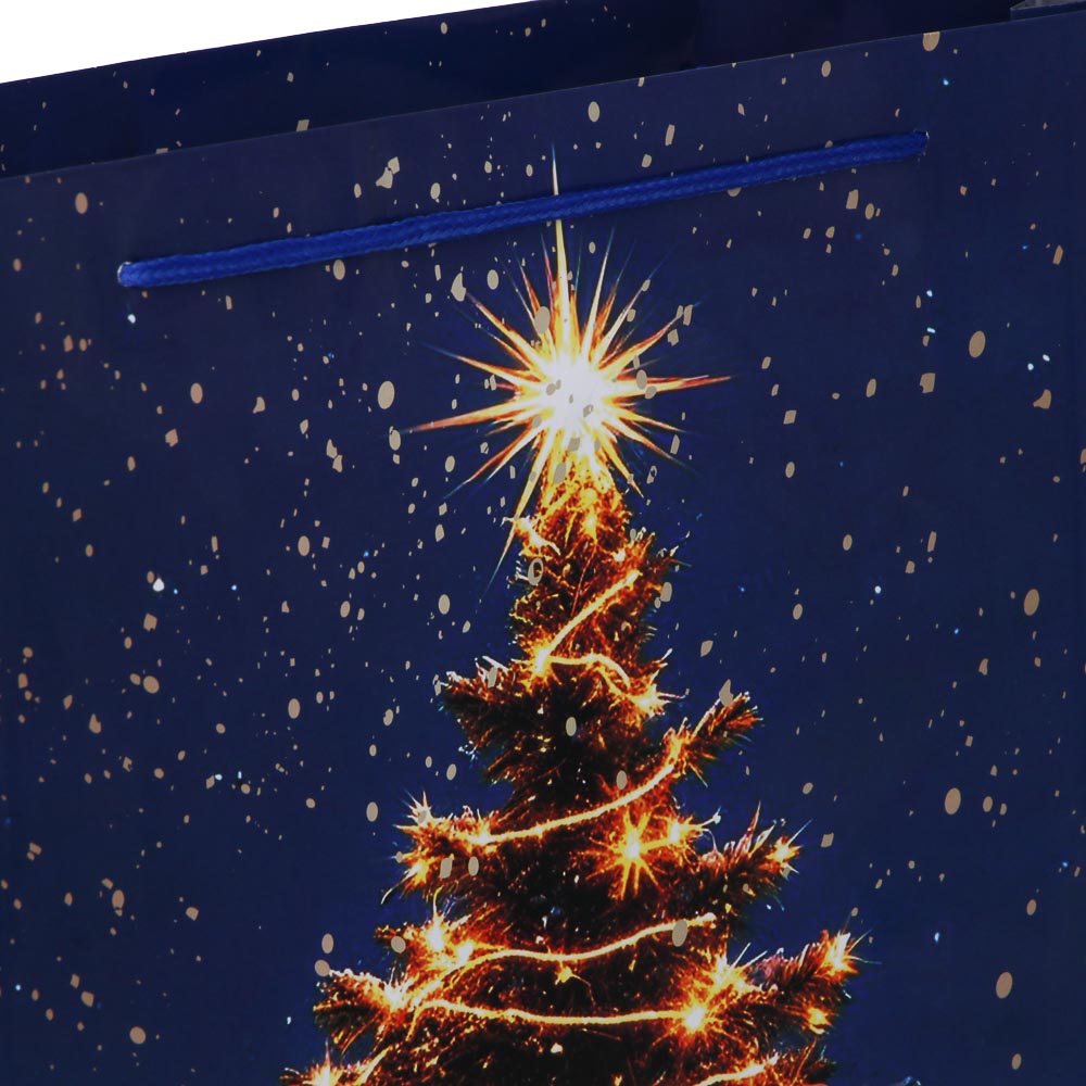 Пакет подарочный тм СНОУ БУМ, 32x40x10см, бумага, 3 дизайна, арт.7, арт.№ 507-403