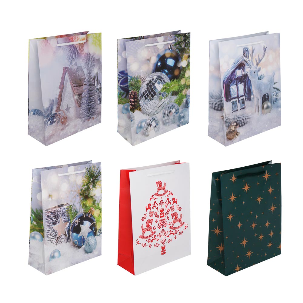 Пакет подарочный тм СНОУ БУМ, 18x24x7см, бумага, 6 дизайнов, арт.№ 507-404