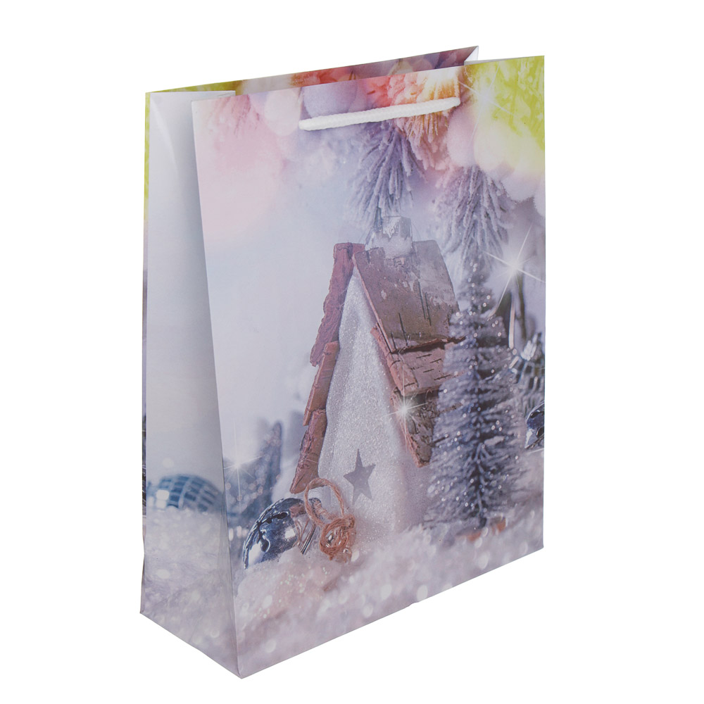 Пакет подарочный тм СНОУ БУМ, 18x24x7см, бумага, 6 дизайнов, арт.№ 507-404