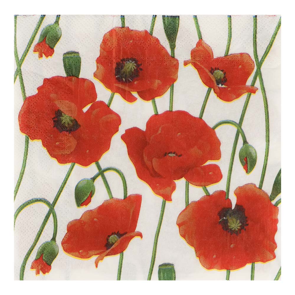 Салфетки бумажные 10шт, двухслойные, 33x33см, арт.№ 437-269