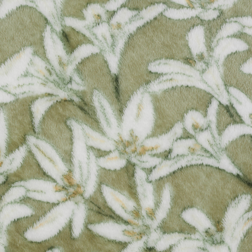 PROVANCE Эвкалипт Плед микрофибра, 150х200см, 230гр/м, зеленый, арт.№ 486-009