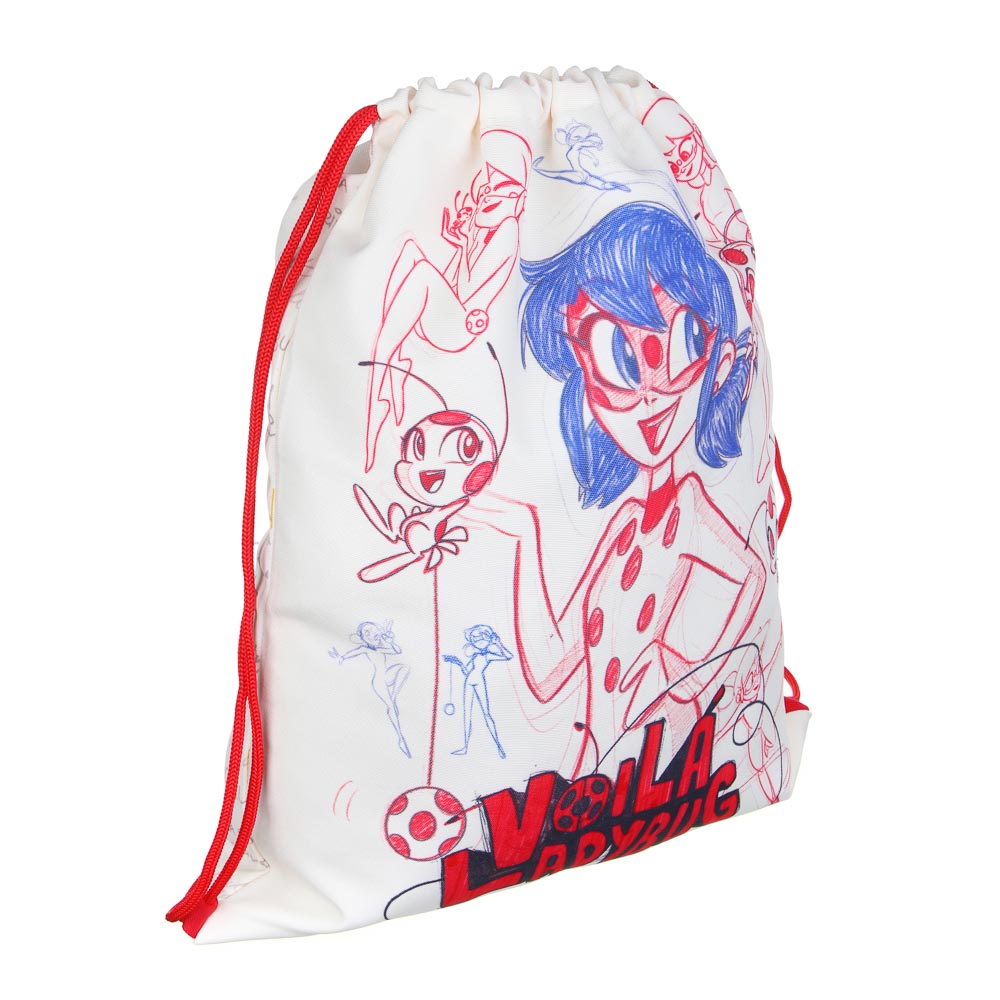 Ледибаг Мешок для обуви ПРЕМИУМ, 47х39см, плотный матер., 2-сторон., толстая веревка, "Скетч", арт.№ 811-027