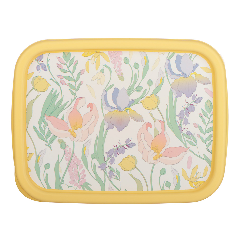 Ботаника Контейнер для продуктов прямоугольный 0,85л, пластик, 3 цвета, арт.№ 861-568