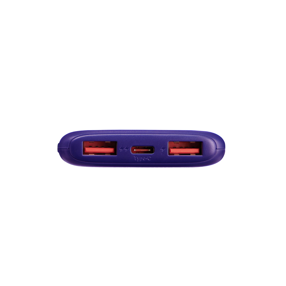BY Аккумулятор мобильный, 5000 мАч, 2xUSB-A, 1xUSB-C,1xMicro-USB, QC+PD, 5А, Герои, ВАСИЛИСА, арт.№ 031-093