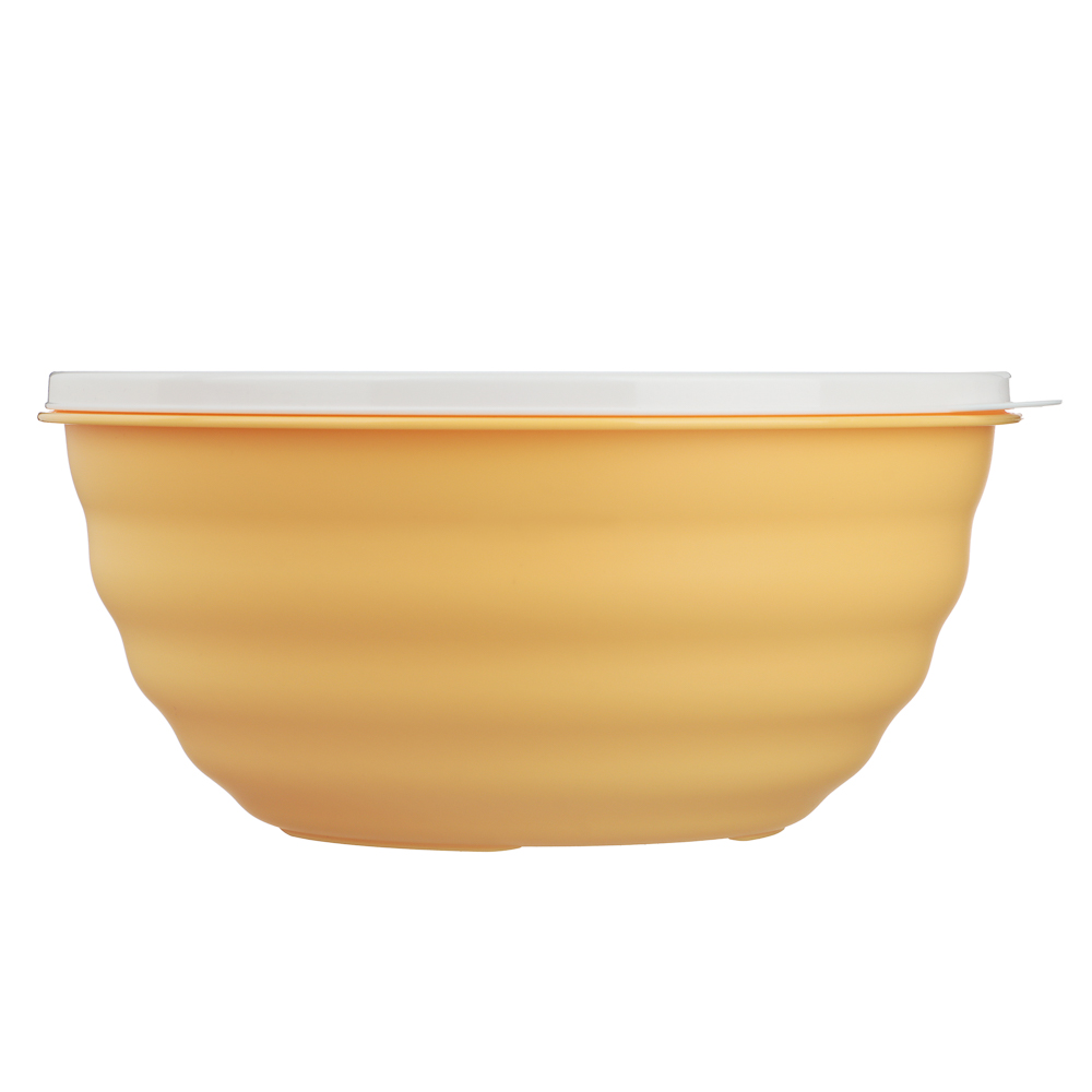 Ботаника Миска Latina 2,1л с крышкой, пластик, 3 цвета, арт.№ 861-571