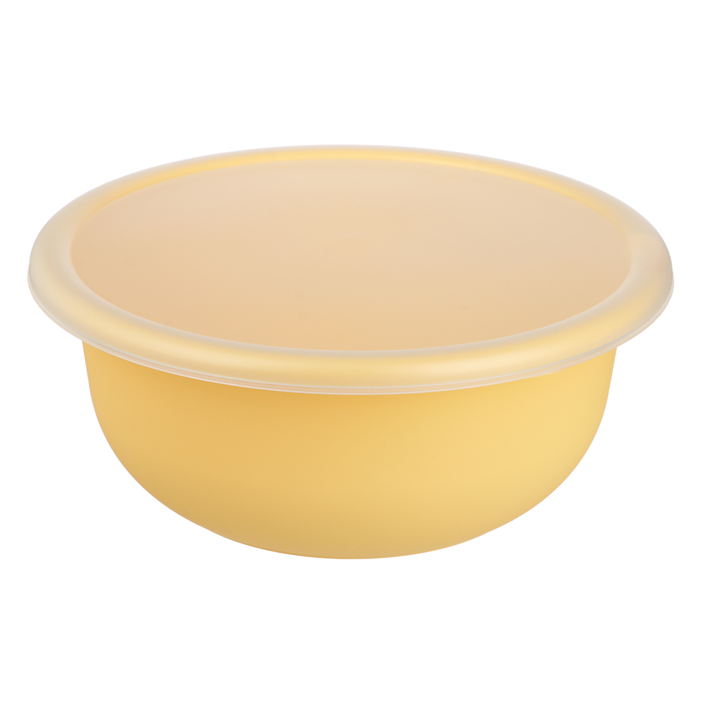 Ботаника Миска с крышкой 2,1л, пластик, 3 цвета, арт.№ 861-573