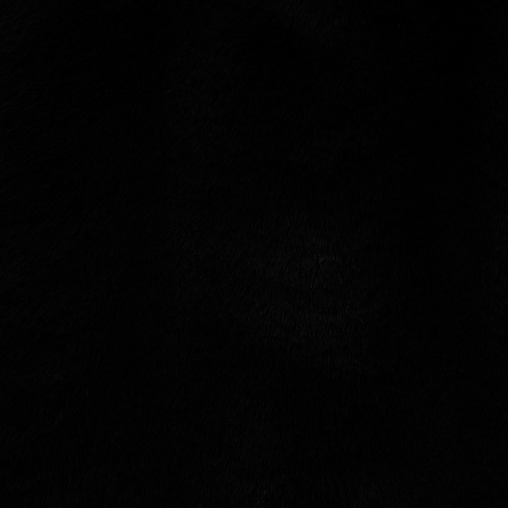 BY STAS MIKHAILOV Чехол для подушки меховой 50х50см, полиэстер, черный, арт.№ 497-069