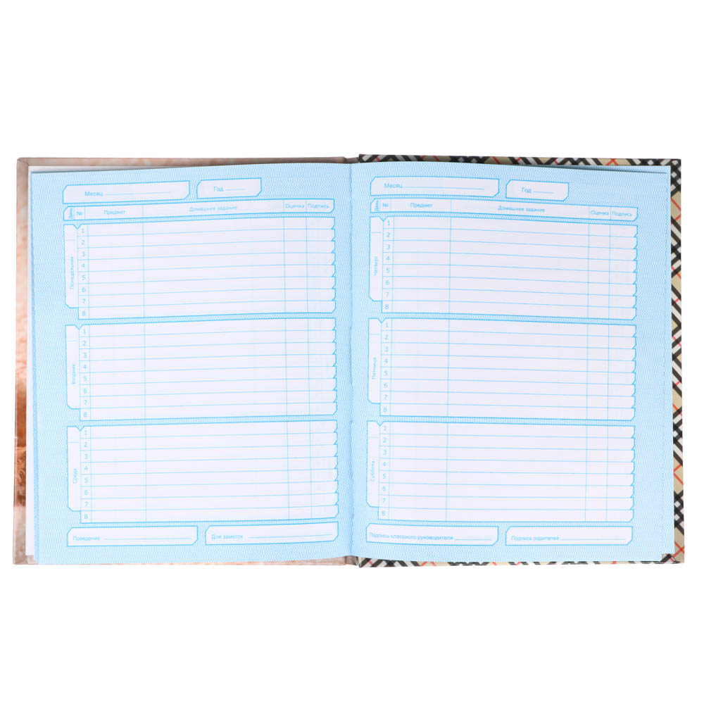 Дневник школьный, для младших классов, 40/48л, офсет 60г/м2, обложка твердая ламинир. (7БЦ), арт.№ 564-001