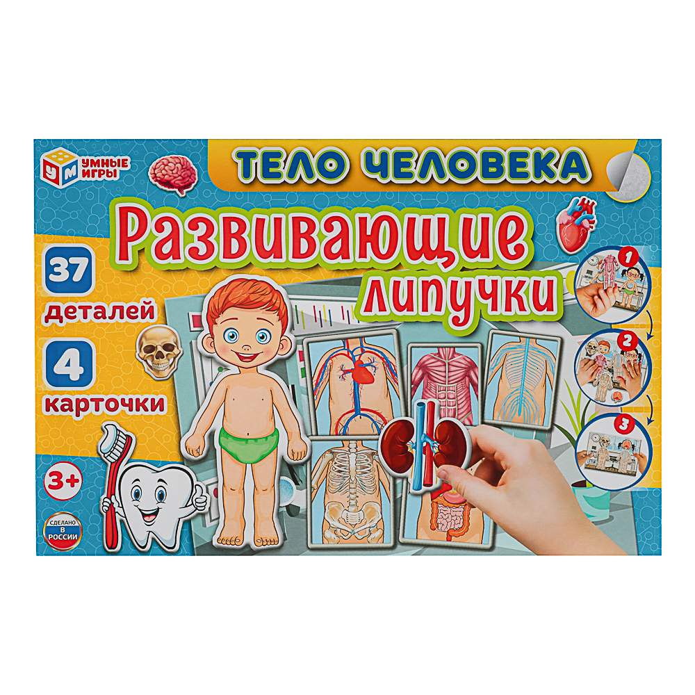 УМКА Развивающая игра "Липучки. Тело человека", в коробке, 28,5x19х3,5см, арт.№ 874-129