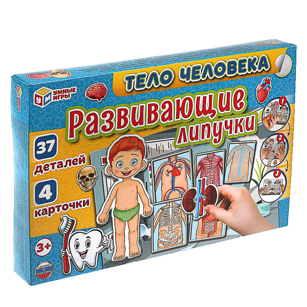 УМКА Развивающая игра "Липучки. Тело человека", в коробке, 28,5x19х3,5см, арт.№ 874-129