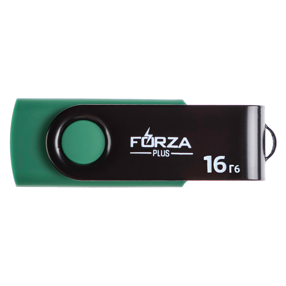 Флеш-карта USB2.0 FORZA 16Гб, 6 класс, матовое покрытие, блистер, пластик, арт.№ 405-015