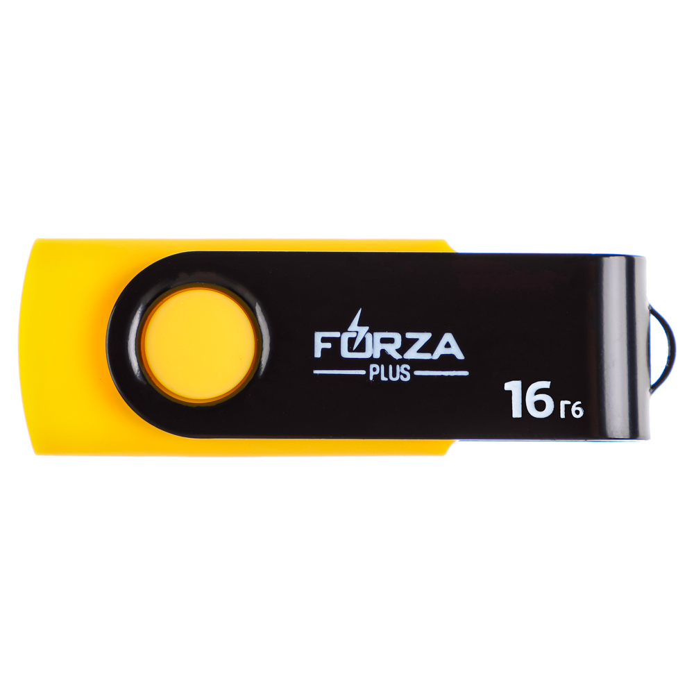 Флеш-карта USB2.0 FORZA 16Гб, 6 класс, матовое покрытие, блистер, пластик, арт.№ 405-015