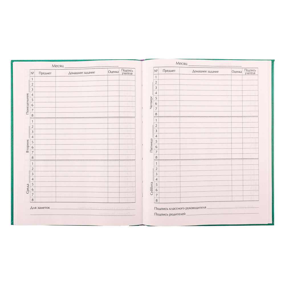 МОНСТР ТРАК Дневник школьный, гибкая интегральная обложка, выборочный УФ лак, 48 листов, арт.№ 564-019