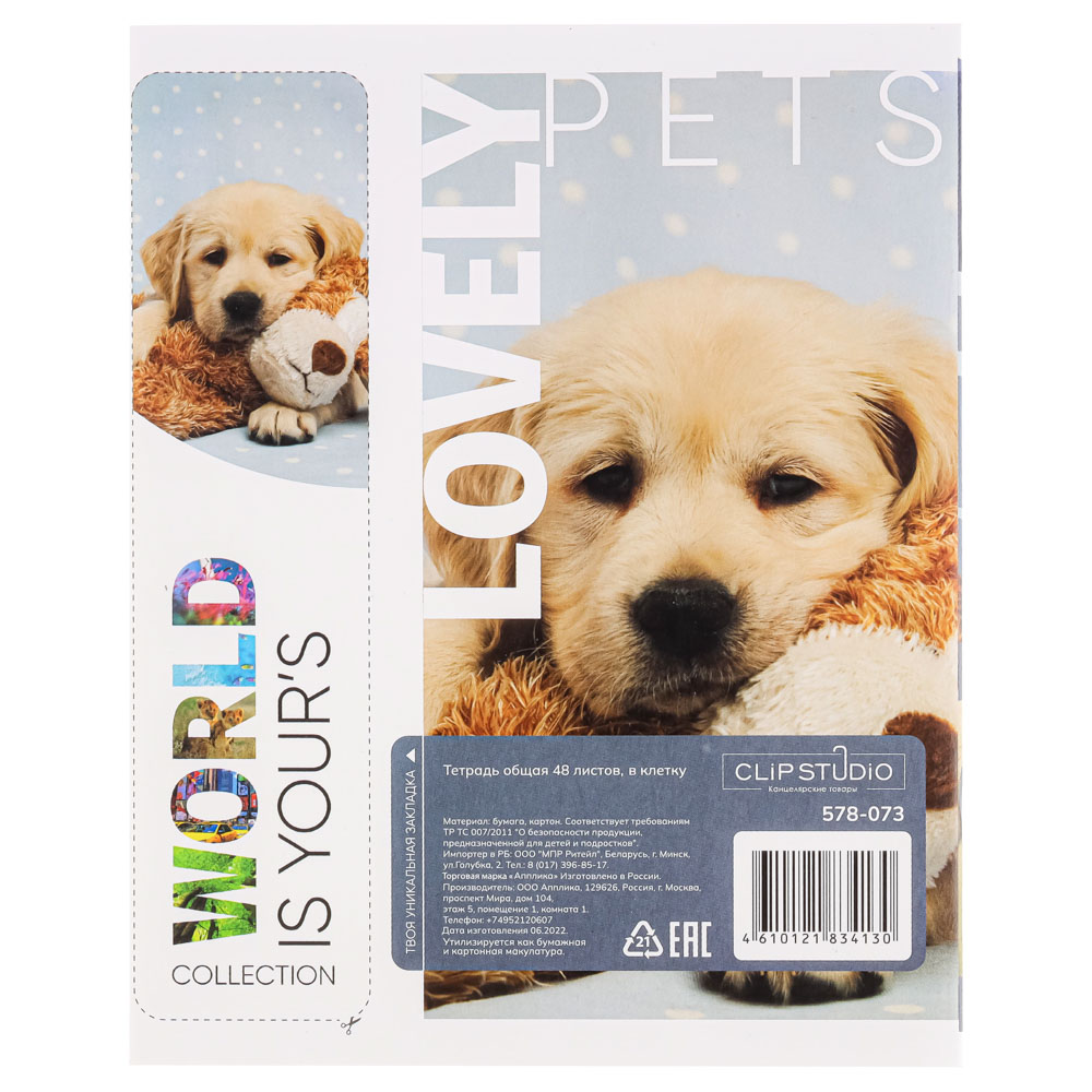 ClipStudio Тетрадь общая 48л. в клетку, БЕЛЫЕ ЛИСТЫ, обложка картон, скрепка, арт.№ 578-073