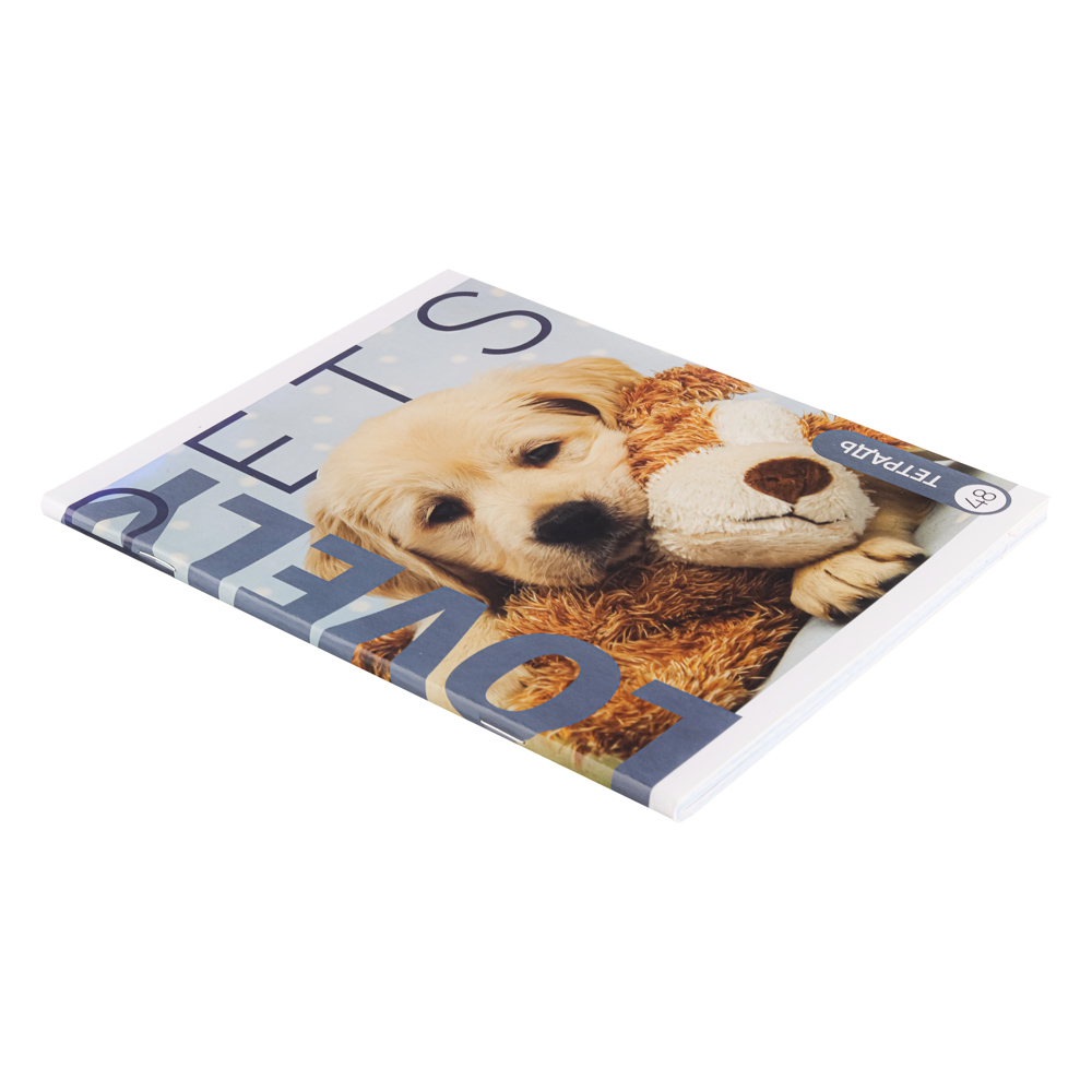 ClipStudio Тетрадь общая 48л. в клетку, БЕЛЫЕ ЛИСТЫ, обложка картон, скрепка, арт.№ 578-073