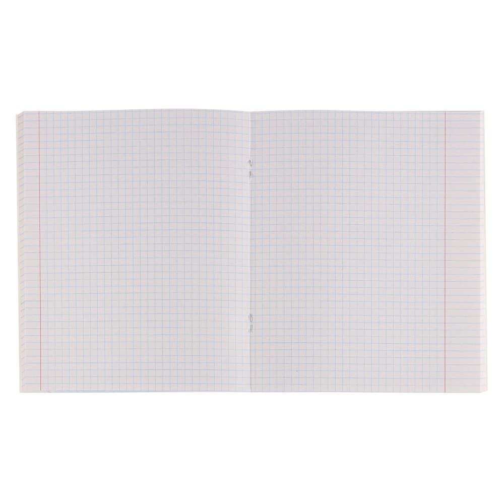 ClipStudio Тетрадь общая 48л. в клетку, БЕЛЫЕ ЛИСТЫ, обложка картон, скрепка, арт.№ 578-073