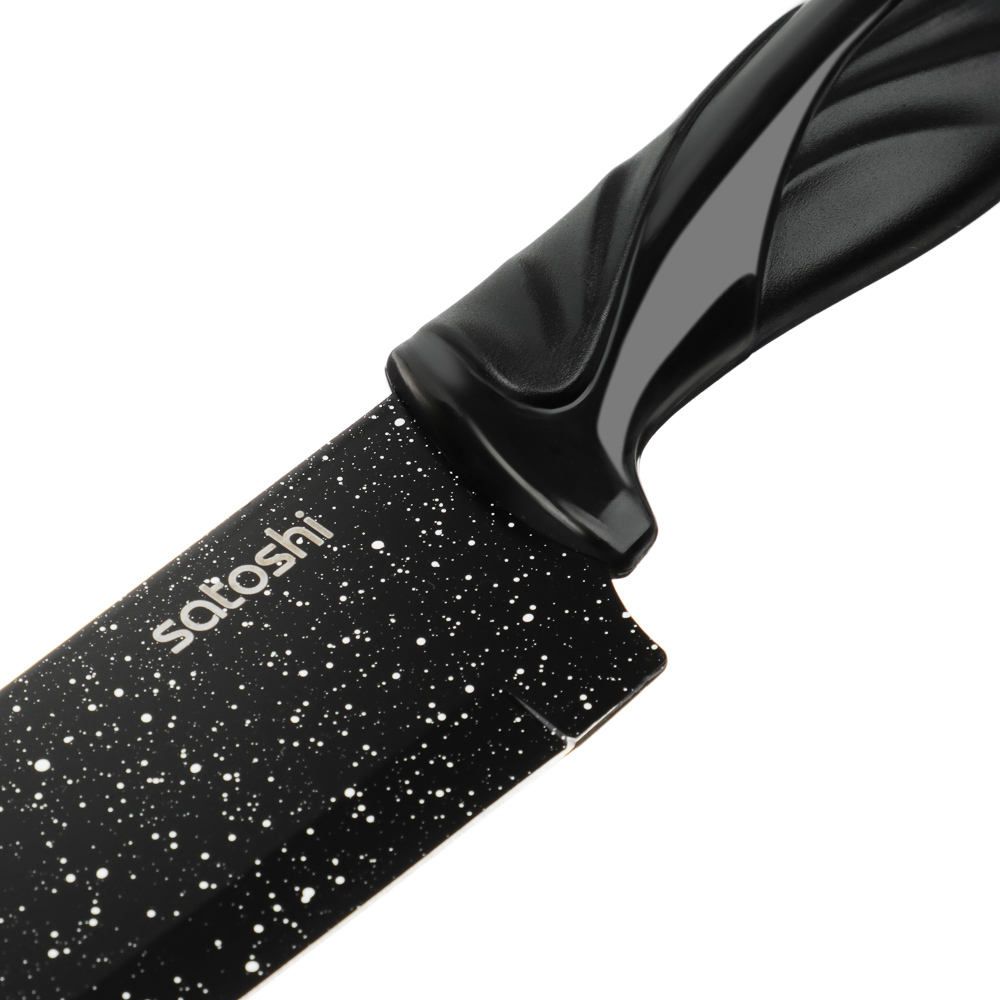 SATOSHI Мунстер Набор ножей кухонных 6пр, в магнитной коробке, арт.№ 803-419