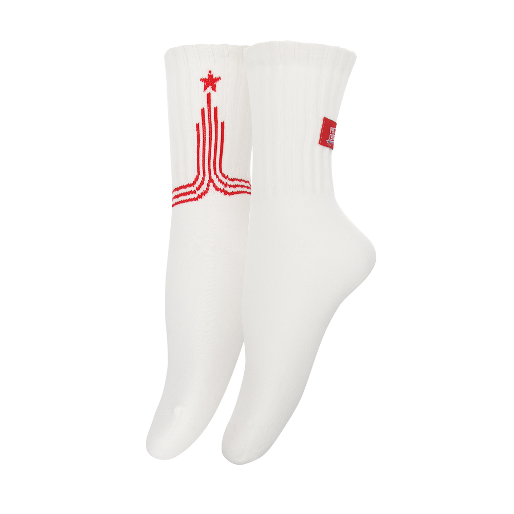 Носки универсальные тм BY Русские Супергерои, "ЭРД", р. 27-29,90%хлопок,8%п/а,2%лайкра, разноцветные, арт.№ 019-610