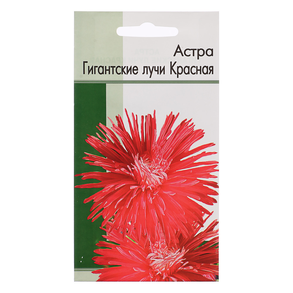 Семена Астра Гигантские лучи Красная 0,2 гр, арт.№ 179-253