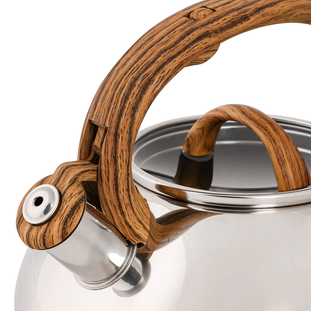 VETTA Чайник стальной 3.0л "Ива" зеркальный, стеклянная крышка, индукция, арт.№ 847-059