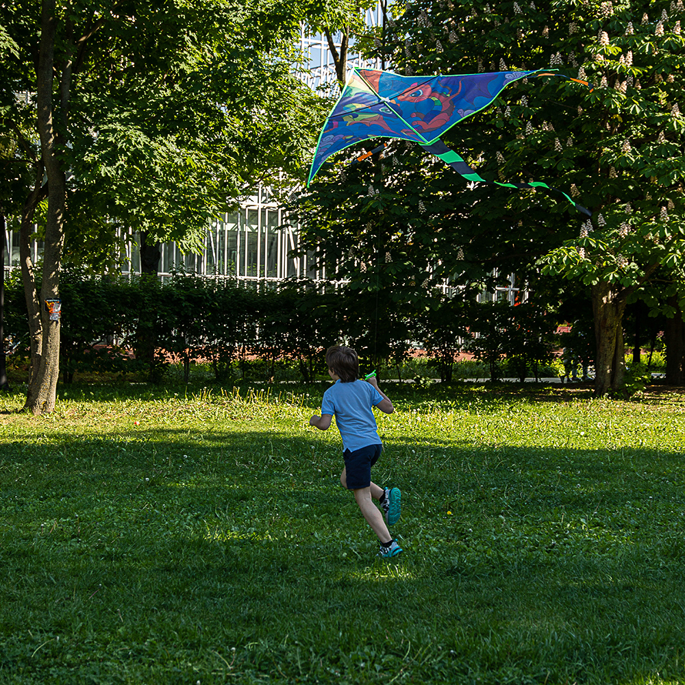 SILAPRO Воздушный змей "Мозаика", 1.6м, нейлон, арт.№ 134-083