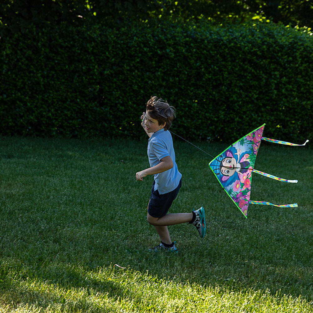 SILAPRO Воздушный змей "Животные" 80см, нейлон, арт.№ 134-084