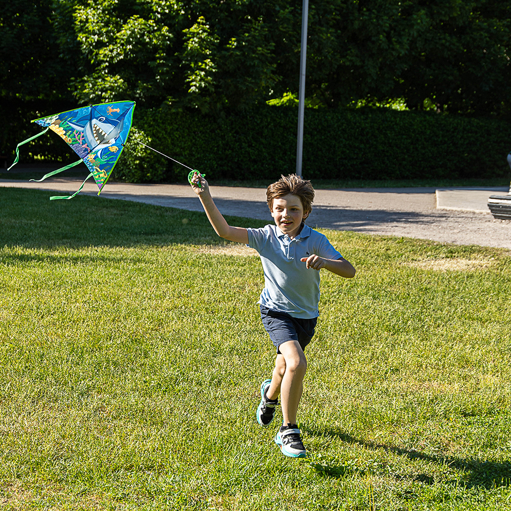 SILAPRO Воздушный змей "Животные" 80см, нейлон, арт.№ 134-084