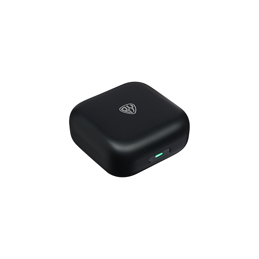 Наушники беспроводные TWS BY SilentPods, внутриканальные, ANC, 30/300 мАч, BT5.3, черные, арт.№ 410-274