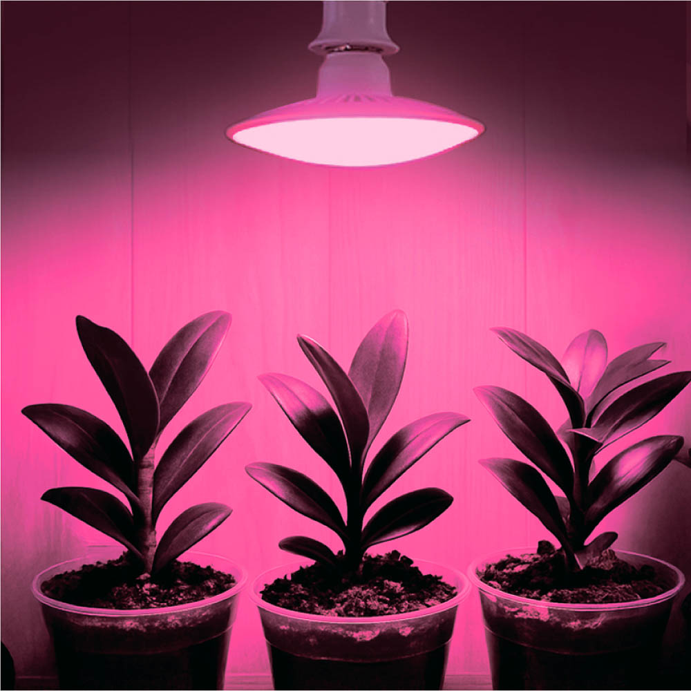INBLOOM Лампа светодиодная для растений 72LED фиолетовый, 13x8см, E27, 15Вт, 220В, пластик, арт.№ 185-087