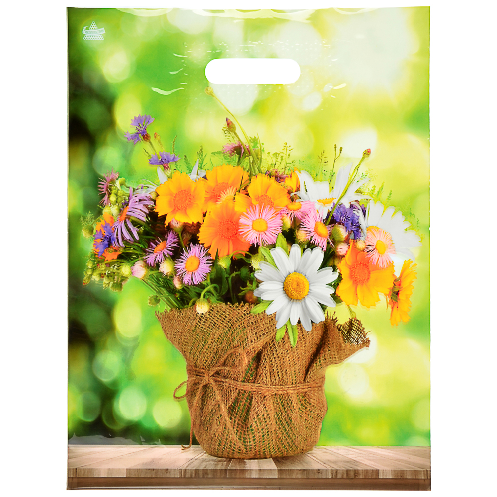 Пакет ламинированный с вырубной ручкой, L 40х31см, 60мкм, 5 дизайнов, арт.№ 507-871