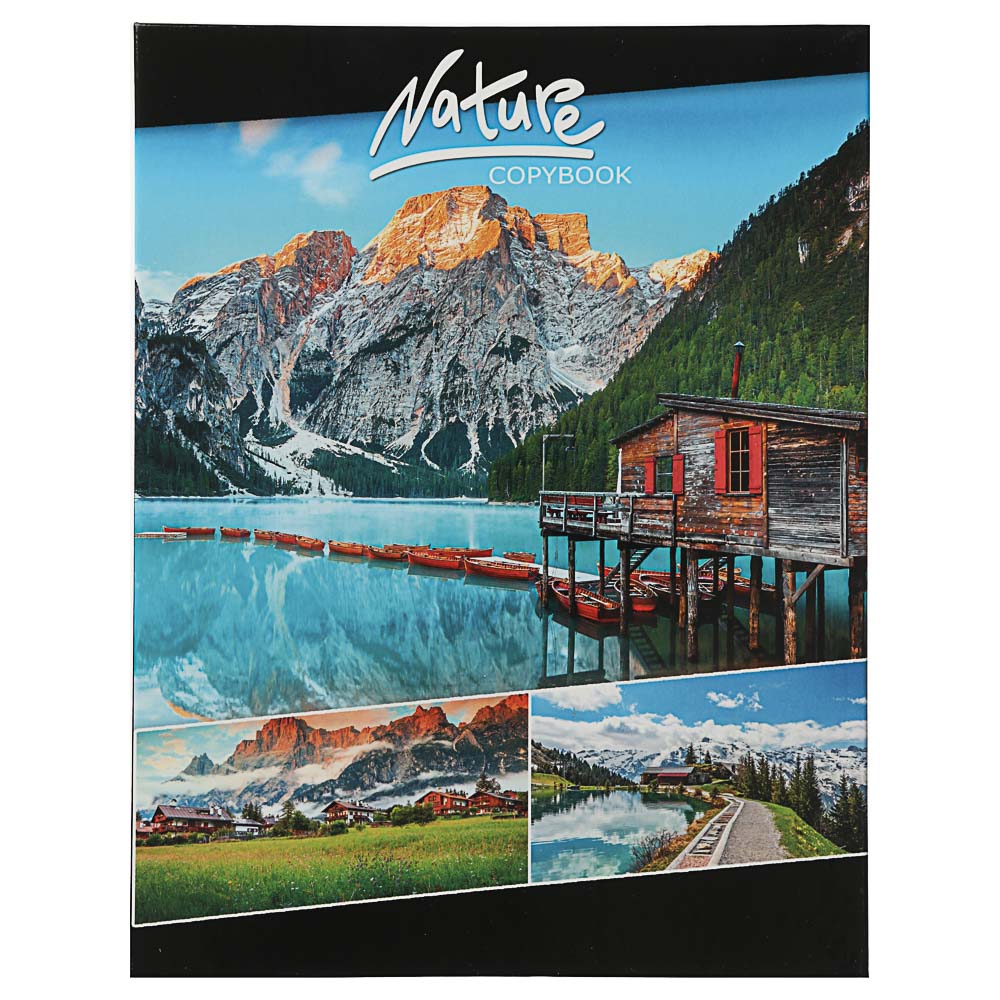 Тетрадь на кольцах, твердая обложка, блок 80 листов, 4 дизайна, арт.№ 578-003