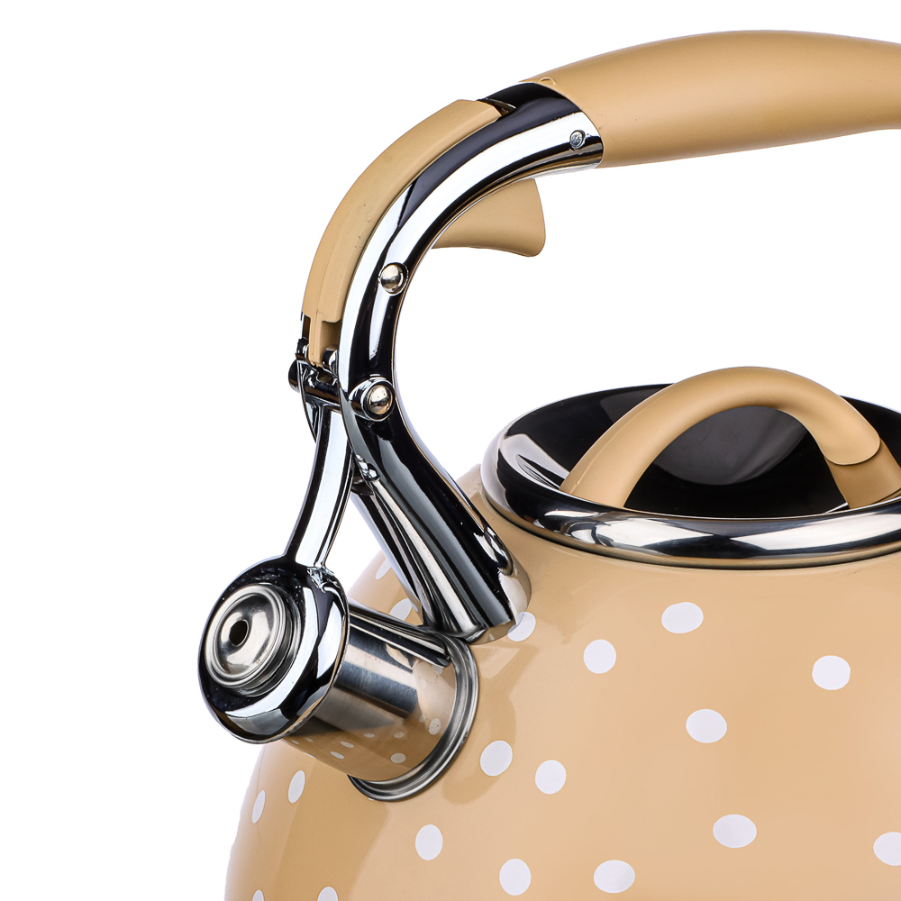 VETTA Чайник стальной 3,0л "Горошек-Леме", индукция, арт.№ 847-116