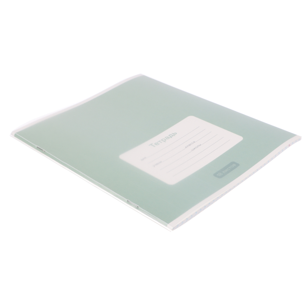 Тетрадь школьная 18 листов в клетку ClipStudio, БЕЛЫЕ ЛИСТЫ, скрепка, обл. пластик, арт.№ 579-033