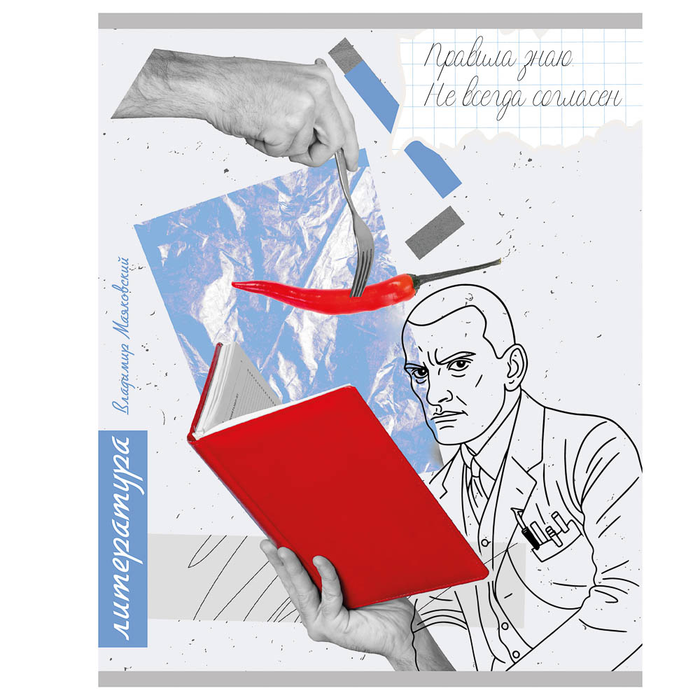 Тетрадь 48л. ClipStudio "Предметная" А5, БЕЛЫЕ ЛИСТЫ, обл.картон, 7 видов, справ.мат., арт.№ 578-184