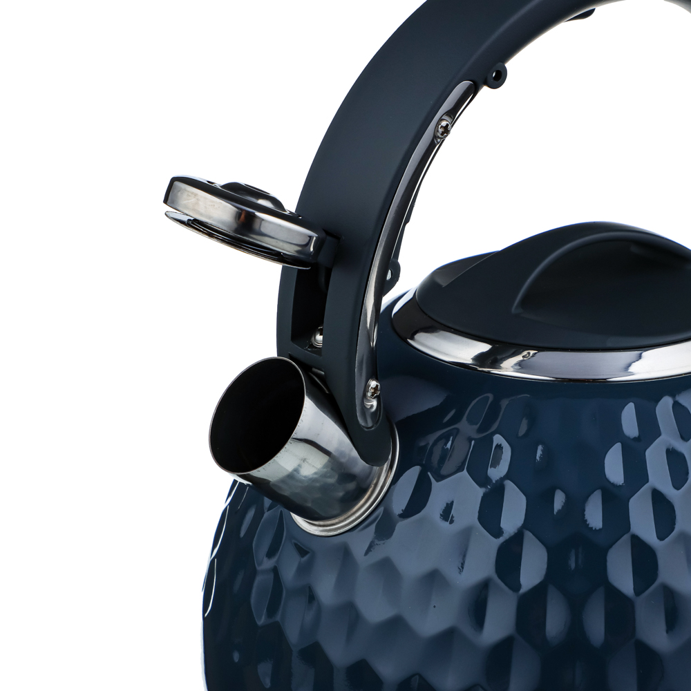 VETTA Чайник стальной 2,6л "Пикар", индукция, арт.№ 847-109