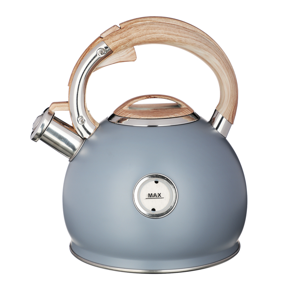 VETTA Чайник стальной 3,0л "Бертран", индукция, арт.№ 847-107